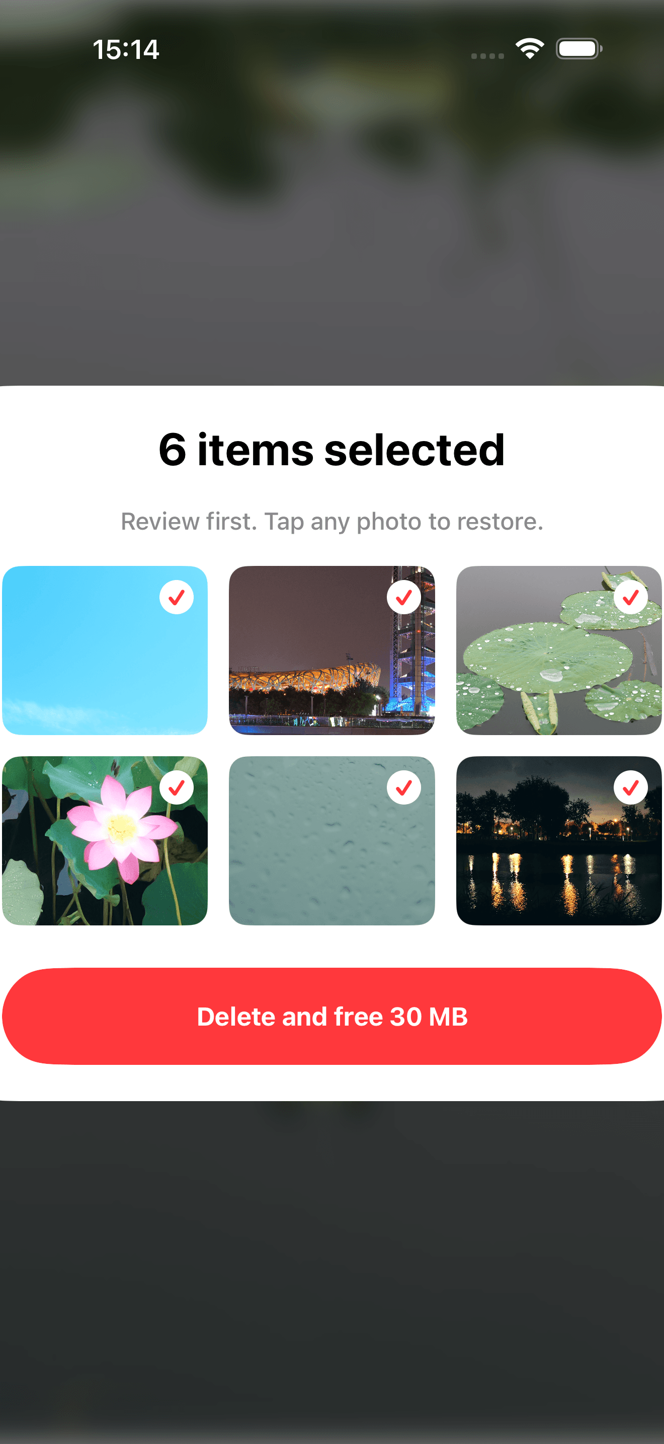 PicTok deletion review basket